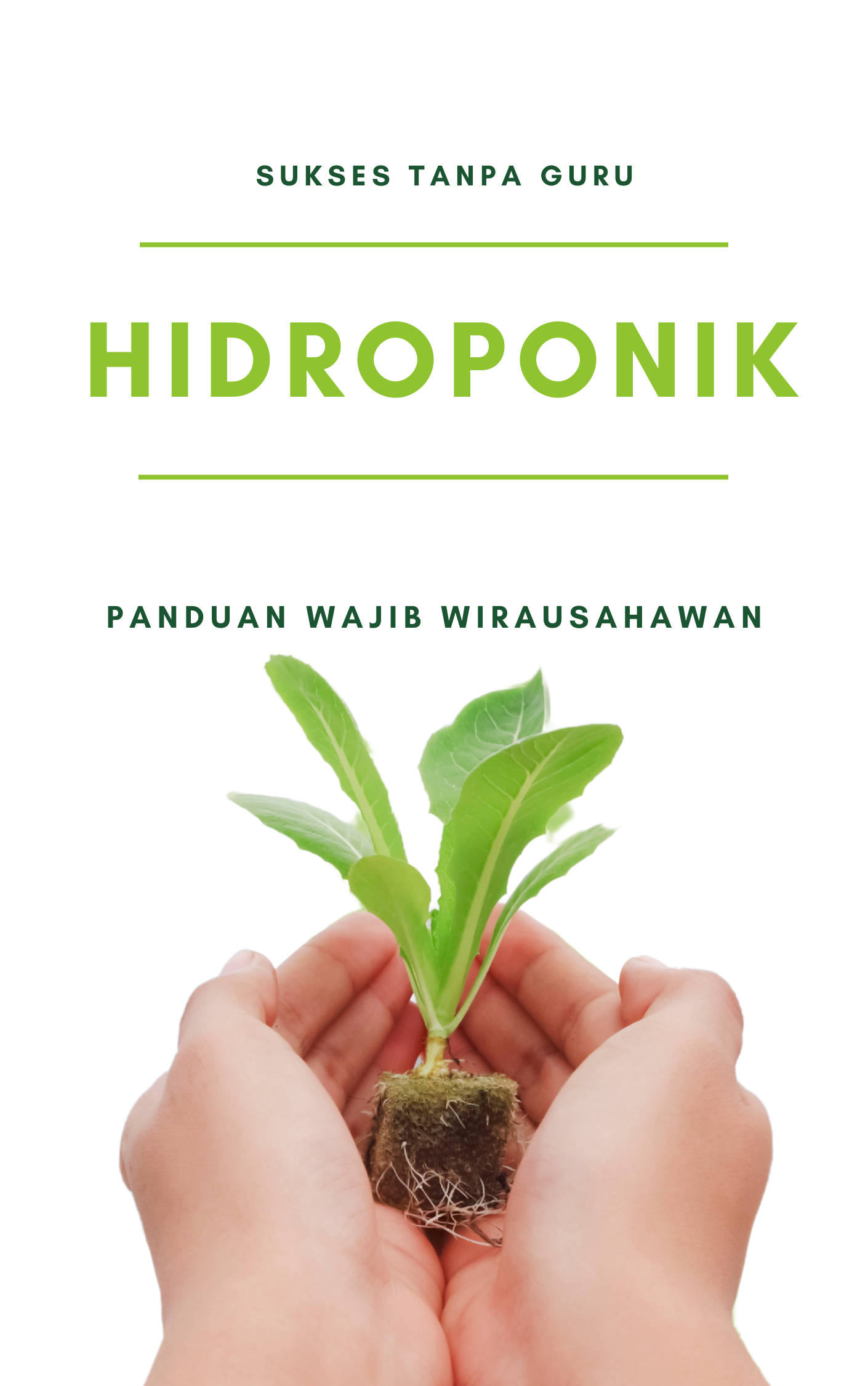 HIDROPONIK BUNCIS